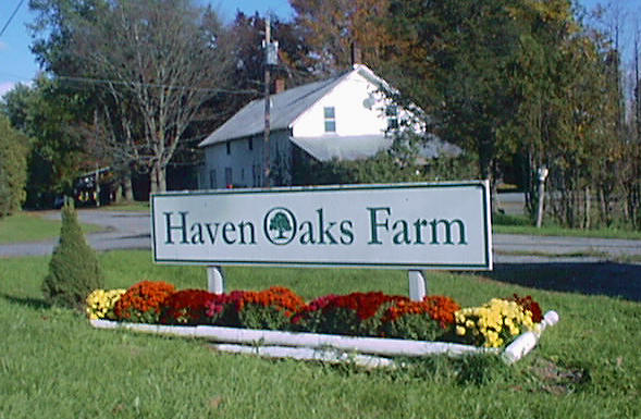 Welcome to Haven Oaks Farm!